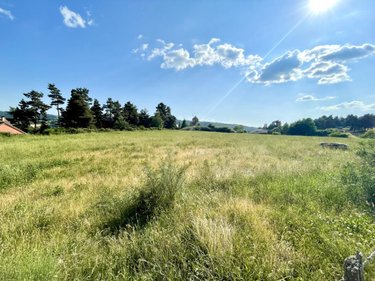 Terrain a batir a vendre Peyre en Aubrac 48130 Lozère 5236 m2  105000 euros