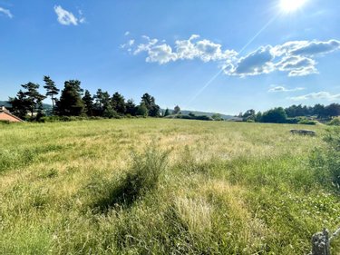 Terrain a batir a vendre Peyre en Aubrac 48130 Lozère 2600 m2  45000 euros