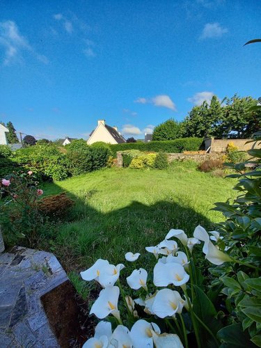 Maison a vendre Pluvigner 56330 Morbihan 195 m2 8 pièces 312240 euros