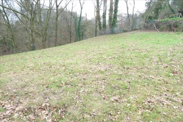 Terrains de loisirs bois etangs a vendre Ambrières-les-Vallées 53300 Mayenne 2451 m2  32000 euros