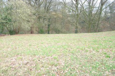 Terrains de loisirs bois etangs a vendre Ambrières-les-Vallées 53300 Mayenne 2451 m2  32000 euros