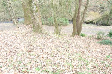 Terrains de loisirs bois etangs a vendre Ambrières-les-Vallées 53300 Mayenne 2451 m2  32000 euros