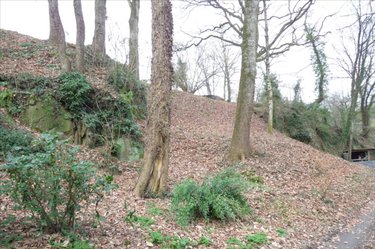 Terrains de loisirs bois etangs a vendre Ambrières-les-Vallées 53300 Mayenne 2451 m2  32000 euros