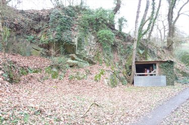 Terrains de loisirs bois etangs a vendre Ambrières-les-Vallées 53300 Mayenne 2451 m2  32000 euros