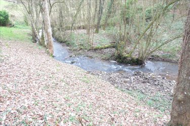 Terrains de loisirs bois etangs a vendre Ambrières-les-Vallées 53300 Mayenne 2451 m2  32000 euros