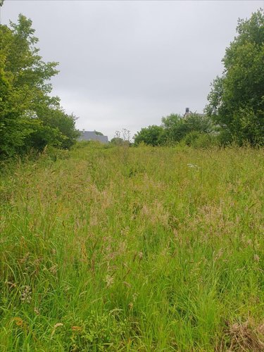 Terrain a batir a vendre Octeville-l'Avenel 50630 Manche 866 m2  43000 euros