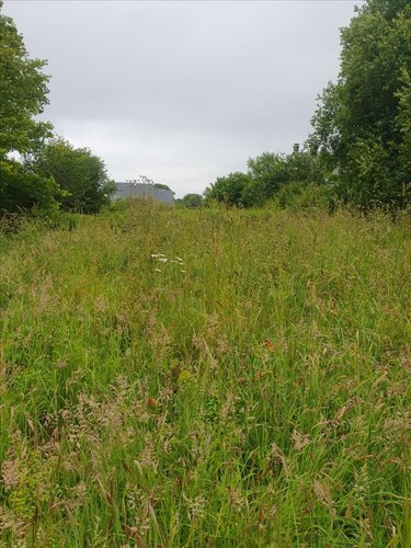 Terrain a batir a vendre Octeville-l'Avenel 50630 Manche 866 m2  43000 euros