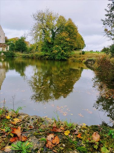 Maison a vendre Golleville 50390 Manche 500 m2 19 pièces 776100 euros