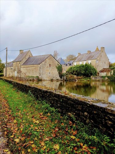 Maison a vendre Golleville 50390 Manche 500 m2 19 pièces 776100 euros