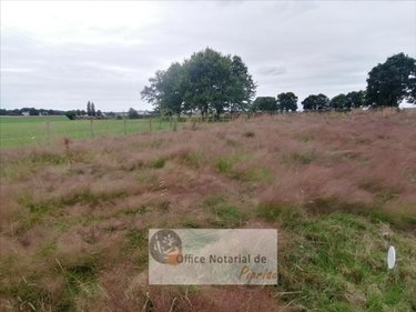 Terrain a batir a vendre Pipriac 35550 Ille-et-Vilaine 440 m2  47600 euros