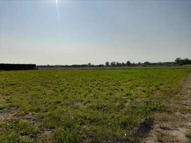 Terrain a batir a vendre Lessay 50430 Manche 1030 m2  58600 euros
