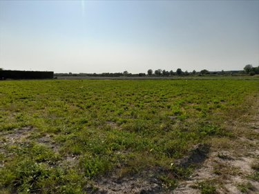 Terrain a batir a vendre Lessay 50430 Manche 1030 m2  58600 euros