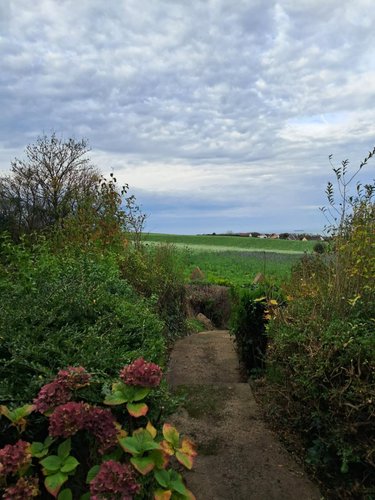 Maison a vendre Escalles 62179 Pas-de-Calais 212 m2 7 pièces 1032280 euros