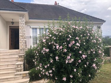 Maison a vendre Saint-Sulpice-de-Pommeray 41000 Loir-et-Cher 229 m2 8 pièces 221000 euros
