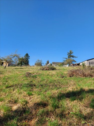 Terrain a batir a vendre Bacqueville-en-Caux 76730 Seine-Maritime 2255 m2  53000 euros