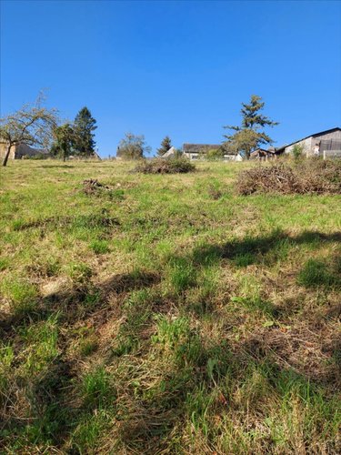 Terrain a batir a vendre Bacqueville-en-Caux 76730 Seine-Maritime 2255 m2  53000 euros