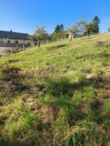 Terrain a batir a vendre Bacqueville-en-Caux 76730 Seine-Maritime 2255 m2  53000 euros