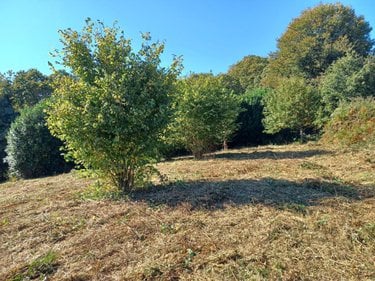 Terrains de loisirs bois etangs a vendre Le Faouët 56320 Morbihan 36150 m2  26100 euros