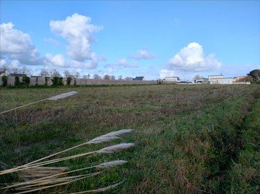 Terrain a batir a vendre Plougonvelin 29217 Finistère 430 m2  107534 euros