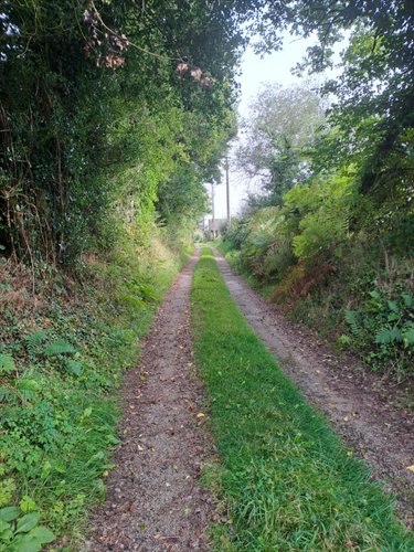 Terrain a batir a vendre Berrien 29690 Finistère 734 m2  17500 euros