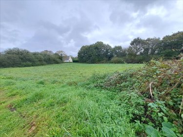 Terrain a batir a vendre Scrignac 29640 Finistère 3565 m2  27500 euros