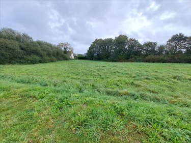Terrain a batir a vendre Scrignac 29640 Finistère 3565 m2  27500 euros