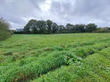 Terrain a batir a vendre Scrignac 29640 Finistère 3565 m2  27500 euros