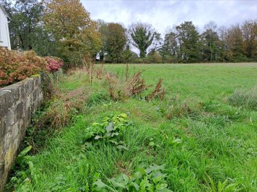 Terrain a batir a vendre Scrignac 29640 Finistère 4145 m2  31500 euros