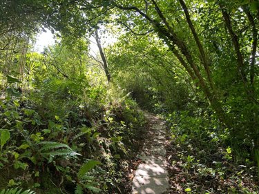 Terrains de loisirs bois etangs a vendre Saint-Sauveur-le-Vicomte 50390 Manche 698 m2  8600 euros