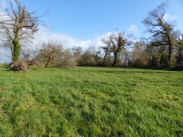 Maison a vendre Laulne 50430 Manche 70 m2 5 pièces 53360 euros