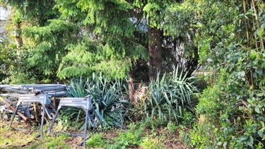 Terrain a batir a vendre La Londe 76500 Seine-Maritime 535 m2  55000 euros