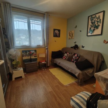 Appartement a vendre Miribel 01700 Ain 62 m2 3 pièces 195000 euros