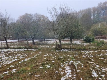 Maison a vendre Vesdun 18360 Cher 188 m2 5 pièces 117620 euros