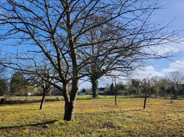 Maison a vendre Arpheuilles 18200 Cher 73 m2 3 pièces 85760 euros