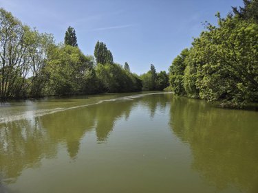 Terrains de loisirs bois etangs a vendre La Roche-Neuville 53200 Mayenne 31445 m2  95700 euros