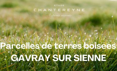 Terrains de loisirs bois etangs a vendre Gavray-sur-Sienne 50450 Manche 10523 m2  6605 euros