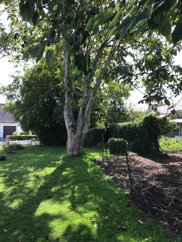 Terrain a batir a vendre Merlevenez 56700 Morbihan 478 m2  93600 euros