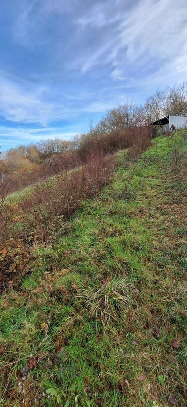 Terrains de loisirs bois etangs a vendre Peyrusse-Grande 32320 Gers 57740 m2  39500 euros