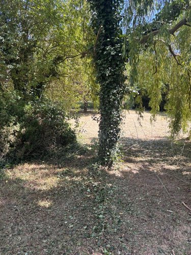 Terrain a batir a vendre Crouzilles 37220 Indre-et-Loire 2334 m2  33600 euros