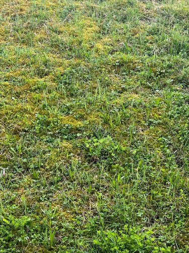 Terrain a batir a vendre Rochefort-sur-Nenon 39700 Jura 1244 m2  120000 euros