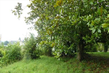 Maison a vendre Plestin-les-Grèves 22310 Côtes-d'Armor 298 m2 16 pièces 588468 euros