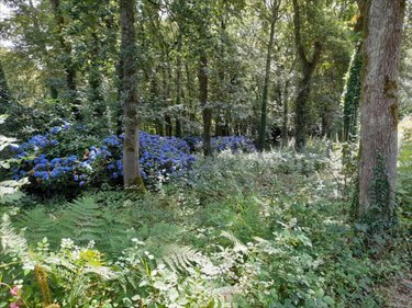 Maison a vendre Plouzané 29280 Finistère 142 m2 7 pièces 310000 euros