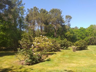 Maison a vendre Saint-Nolff 56250 Morbihan 166 m2 7 pièces 588472 euros