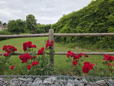 Maison a vendre Verzy 51380 Marne 55 m2 3 pièces 169000 euros