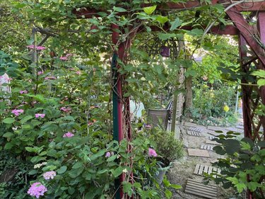 Maison a vendre Rignieux-le-Franc 01800 Ain 83 m2 3 pièces 239000 euros