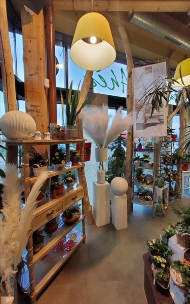 Fonds et murs commerciaux a vendre Carhaix-Plouguer 29270 Finistère 190 m2  94500 euros