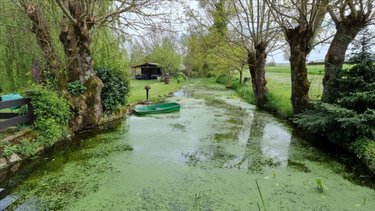 Maison a vendre Jonzac 17500 Charente-Maritime 226 m2 8 pièces 309750 euros