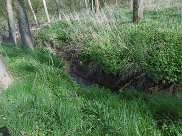 Terrains de loisirs bois etangs a vendre Pont-Farcy 50420 Manche 3960 m2  11000 euros