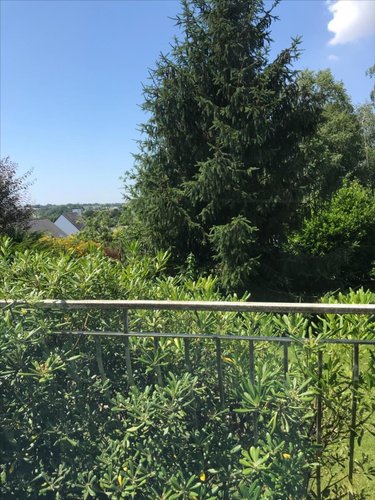 Maison a vendre Lanester 56600 Morbihan 145 m2 5 pièces 442000 euros