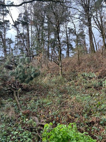 Terrains de loisirs bois etangs a vendre Saint-Nic 29550 Finistère 3000 m2  4000 euros